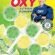 Mr Oxy WC Blok-Limon Ferahlığı-Citrus Fresh 2×50