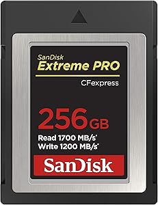 SanDisk Extreme Pro CFexpress hafıza kartı Tip B 256 GB (1.700 MB/s okuma, 1.200 MB/s yazma, RescuePRO Deluxe, sorunsuz RAW videolar, 4K, XQD uyumluluğu)
