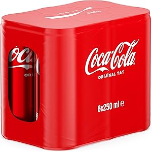 Coca-Cola Orijinal Tat Kutu 6×250 ML