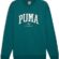PUMA Erkek/Unisex PUMA SQUAD Crew-Cold Green Crew Sweats L