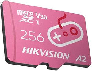 Hikvision TF G2, 256GB, 170mb/sn, MicroSD Card