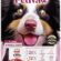 Petiva Kısırlaştırılmış Yetişkin Köpekler İçin Kuzu Etli Kuru Köpek Maması (7 Kg, Kuzu)