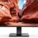 KOORUI 24N1A 24 İnç Monitör, Full HD (1920X1080), 75HZ, 5ms, HDMI, Full HD, VAPanel, Flicker-Free, HDMI, VGA, Siyah