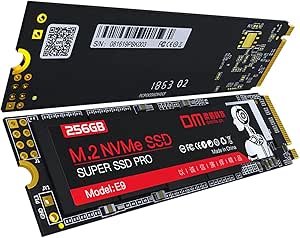 DM E9 512 GB PCI-E Gen3x4 M.2 NVMe SSD 2000 MB/sn Okuma 1600 MB/sn Yazma