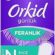 Orkid Yaprak Günlük Ped Normal Büyük Paket 40 Adet