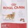 Royal Canin Fit 32 Yetişkin Kedi Maması, 400 Gr