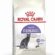 Royal Canin Kısırlaştırılmış Kediler İçin, 37 Kuru Kedi Maması, 2 Kg