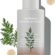 MISSHA Hassas Ciltler İçin Cildin Yağ-Nem Dengesini Koruyan Konsantre Ampul Artemisia Calming Ampoule 50 ml
