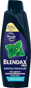 BLENDAX Erkekler için Mentol Ferahlığı Nane Özlü Şampuan, 500 ml