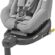 Maxi-Cosi Beryl Bebek Oto Koltuğu, Authentic Grey, 0-25 kg