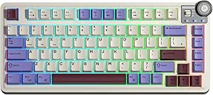 Aula AU75 3 Modlu RGB Hot Swap Mekanik TKL Seiya Switch Kablosuz Makrolu Klavye Bej