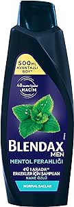 BLENDAX Erkekler için Mentol Ferahlığı Nane Özlü Şampuan, 500 ml
