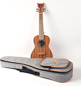 Bianca Simba26 Tenor Ukulele, Soft Case