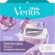 Gillette Venus Comfortglide Breeze 2 Adet Yedek Başlık