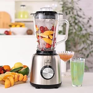 KARACA INOX SMOOTHIE BLENDER
