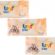 Uni Baby Aile Islak Mendil 3×52 156 Yaprak