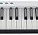 MIDIPLUS X6 III 61-Tuş Piyano Tarzı USB MIDI Klavye Controller/Kontrolör