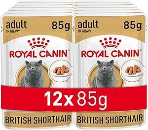 Royal Canin British Shorthair Konserve 85 gr x 12 Adet