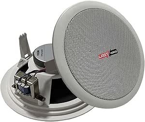 Lastvoice Tvx-6T Trafolu Alçıpan Tavan Hoparlörü 16 cm 30 Watt (Adet)