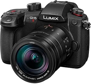 PANASONIC LUMIX GH5 Mark II Noir + 12-60 f/2.8-4