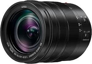 Panasonic H-ES12060E 12-60 mm LEICA DG VARIO-ELMARIT Standart Zoom Lens – Siyah