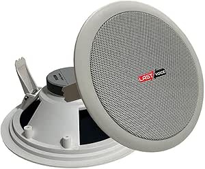 Lastvoice Tvx-6 Alçıpan Tavan Hoparlörü 16 cm 30 Watt 8 Ohm (Adet)