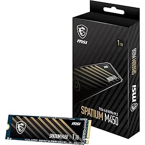 MSI SPATIUM M450 PCIe 4.0 NVMe M.2 1TB, PCIe4, 3600 MB/s okuma, 3.000 MB/s yazma, dahili SSD