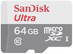 SanDisk Ultra SDSQUNR-064G-GN3MN Class 10 UHS-I 64 GB Micro SD Kart