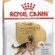 Royal Canin German Shepherd Adult Köpek Maması, 11 Kg
