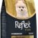 Reflex Plus Pomeranian Yavru Köpek Mamasi 1.5 Kg