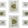 SONGMICS 10 fotoğraf çerçevesinden oluşan resim çerçevesi seti – 2 adet 20 x 25 cm, 4 adet 13 x 18 cm ve 4 adet 10 x 15 cm ahşap bordür beyaz RPF310W