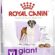 Royal Canin Giant Adult Köpek Maması, 15 Kg