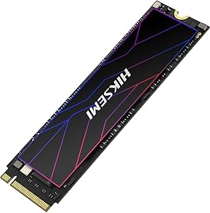 HIKSEMI HS-SSD-FUTURE Lite 4096 GB Dahili SSD