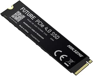 HIKSEMI HS-SSD-FUTUREX Lite 2048 GB Dahili SSD
