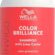 Wella Professionals Invigo Color Brilliance Şampuan 300 ml – İnce Telli ve Normal Saçlar İçin