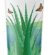 Badger Aloe Vera Jel
