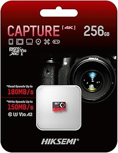 HIKSEMI HS-TF-E3 256 GB Micro SD