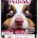 Petiva Yetişkin Köpekler İçin Kuzu Etli Kuru Köpek Maması (3 Kg, Kuzu)