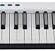 MIDIPLUS X6 III 61-Tuş Piyano Tarzı USB MIDI Klavye Controller/Kontrolör