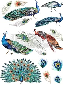 Prima Peacock Dreams Redesign Decor Transfers®-Peacock Dreams Boyut 61 cm x 83 cm – 3 Yaprak – Toplam Tasarım Boyutu 61 cm x 83 cm/Rub-Ons
