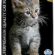 MATISSE Yavru Kedi Maması Tavuk & Pirinç 10 Kg