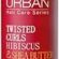 URBAN Care Twisted Curls Hibiscus & Shea Butter Kıvırcık ve Dalgalı Saçlara Özel Onarıcı Bakım Köpüğü 150 ml- Vegan