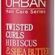 URBAN Care Twisted Curls Hibiscus & Shea Butter Kıvırcık ve Dalgalı Saçlara Özel Onarıcı Bakım Köpüğü 150 ml- Vegan