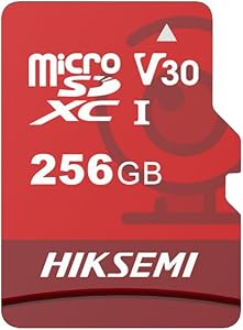 HIKSEMI HS-TF-E1 256 GB Micro SD