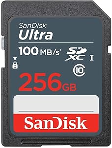 SanDisk Ultra SDSDUNR-256G-GN3IN Class 10 UHS-I U1 256 GB Hafıza Kartı