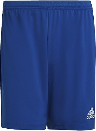 adidas Erkek Parma22 Sho Şort, Royblu, L