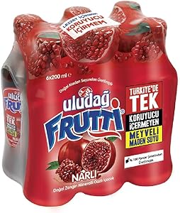 Uludağ Frutti Nar Aromalı Soda 200 ml 6’lı Paket